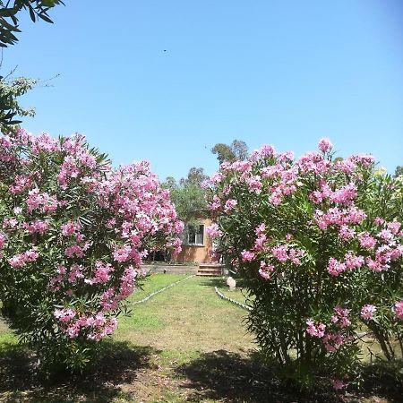 Villa Olia Tortoli Bagian luar foto
